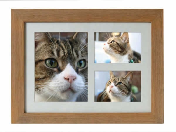 photo frame pet ashes