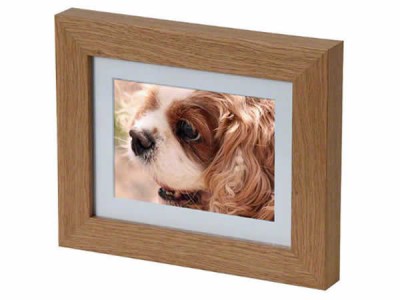 Mini Picture Frame Casket