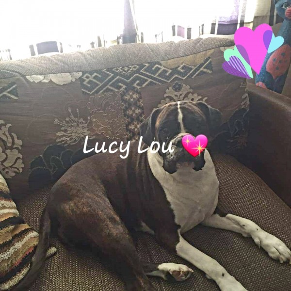 Lucy Lou