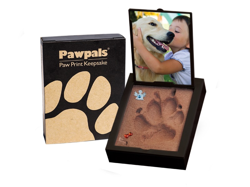 Paw Print Kits