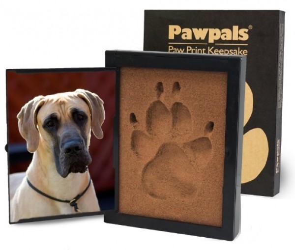 Large Paw Pals Paw Print Kit, Shop