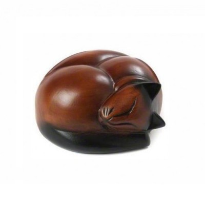 Sleeping Cat