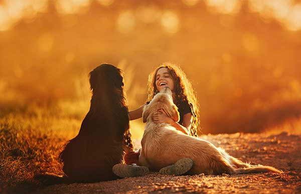 Poems to Help with the Loss of a Pet
