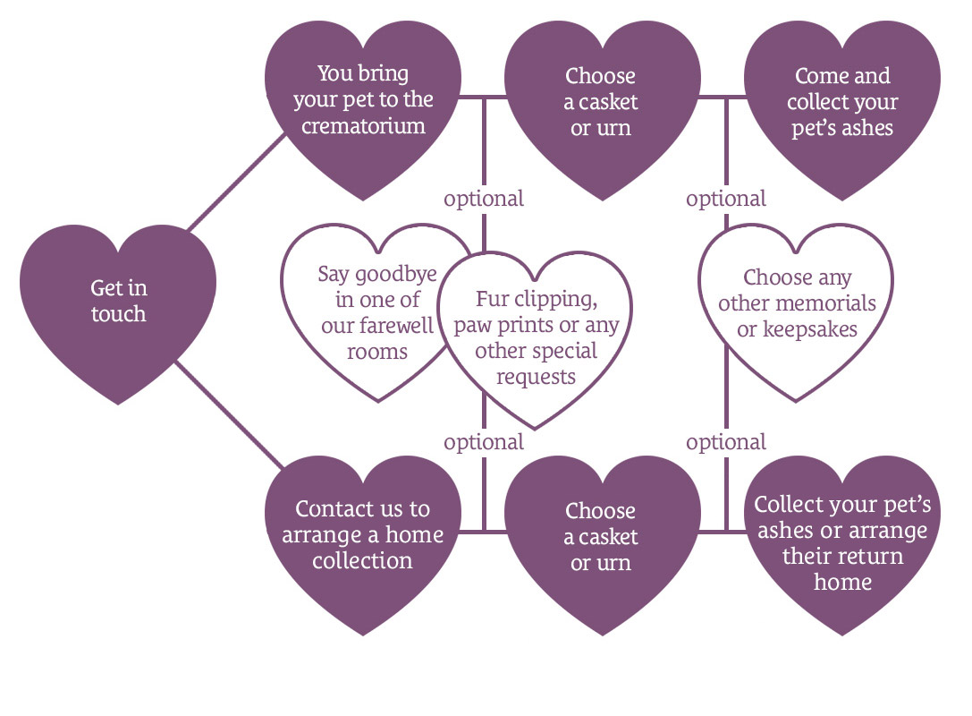 Arranging a pet cremation, Essex