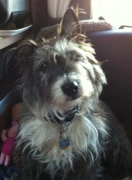 Maximus (Max)