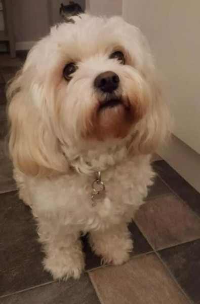 Bella