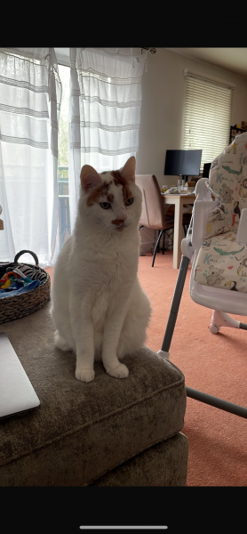 George