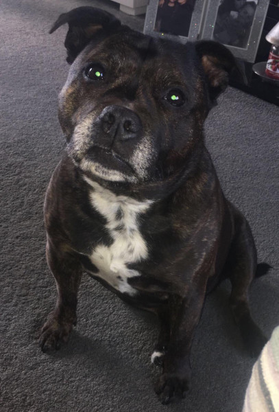 Roxy