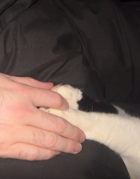 Milo