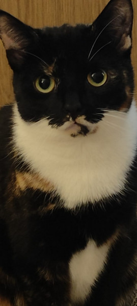 Queenie