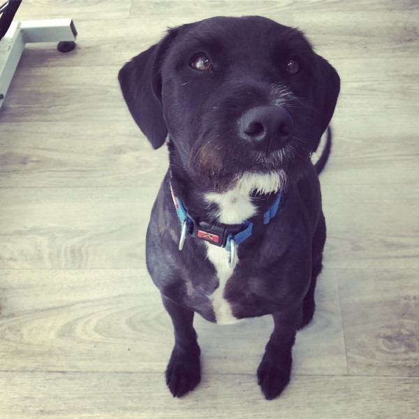 Django