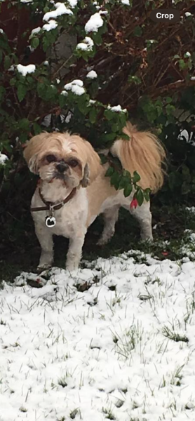 Bailey