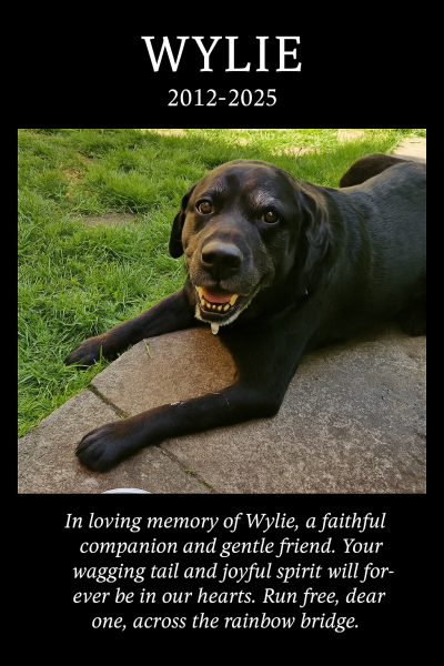 Wylie