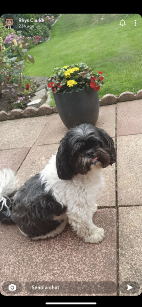 Max