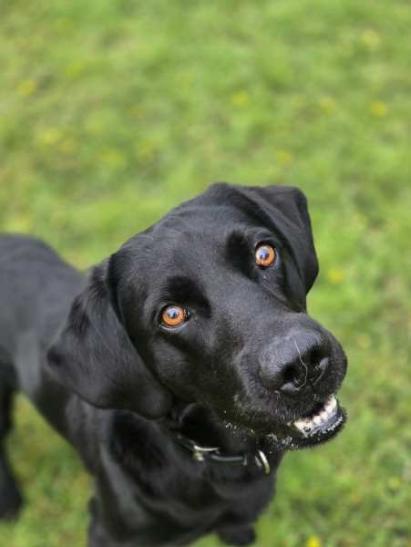 Bruce