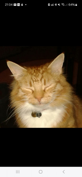 Marmaduke