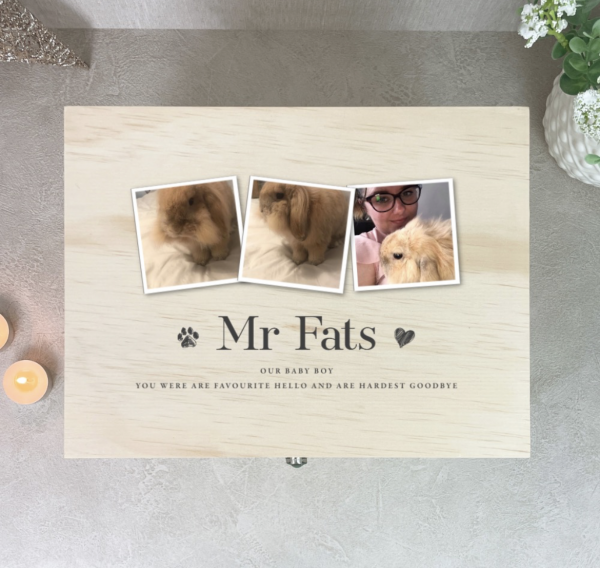 Mr-Fats