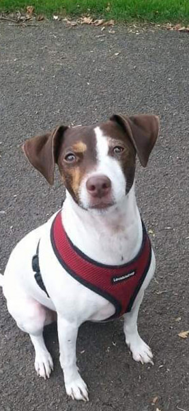 Coco
