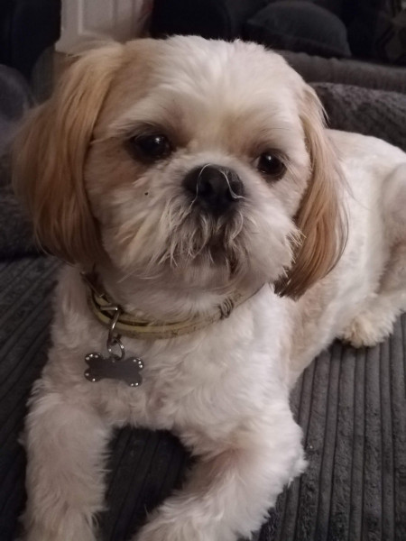 Marley