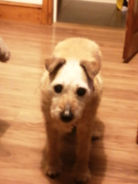 ROXY