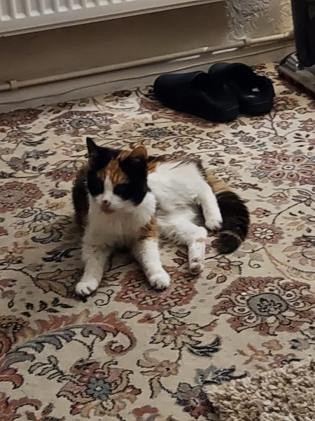 Rosie