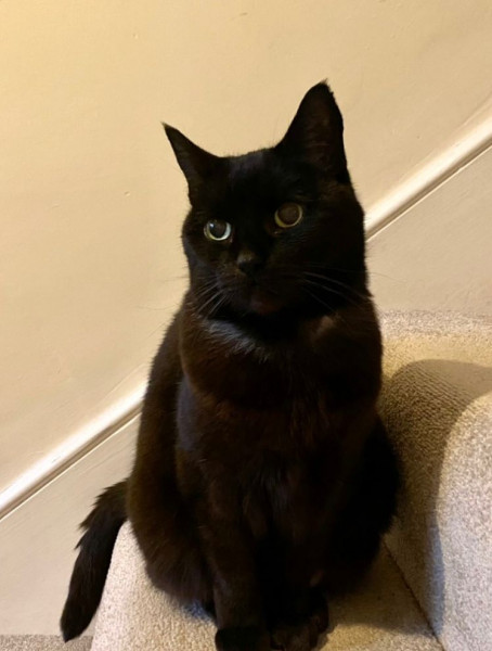 Coco