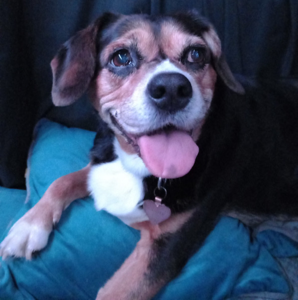 Lady porscher