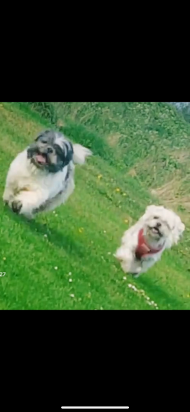 George and molly