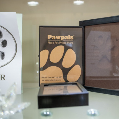 Dorset Pawprints