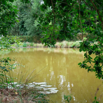 Norfolk Farewell Room