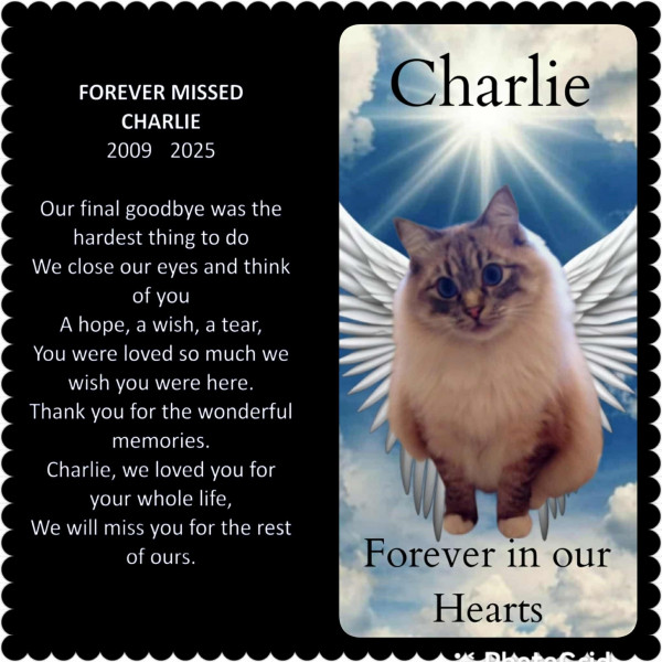 Charlie Ellis - New Year Memorial