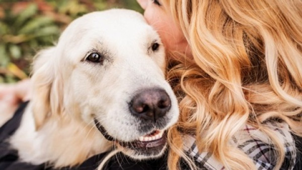 Individual Pet Cremation