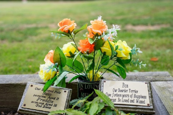 Arranging a Pet Cremation