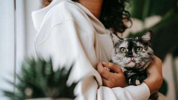 Bringing Your Pet to Us