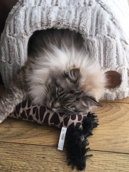 Charlie Ellis - 1st Year Anniversary