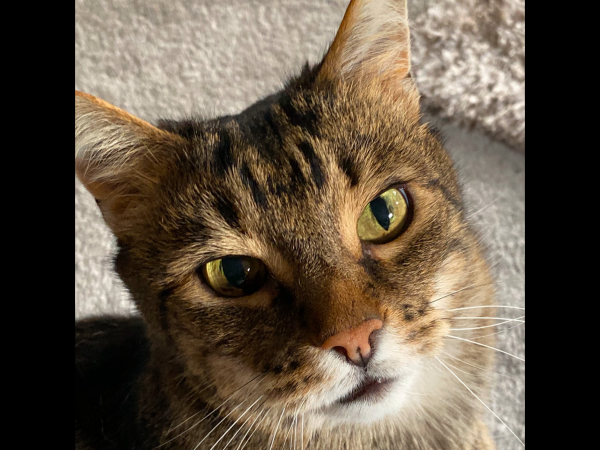 Oscar