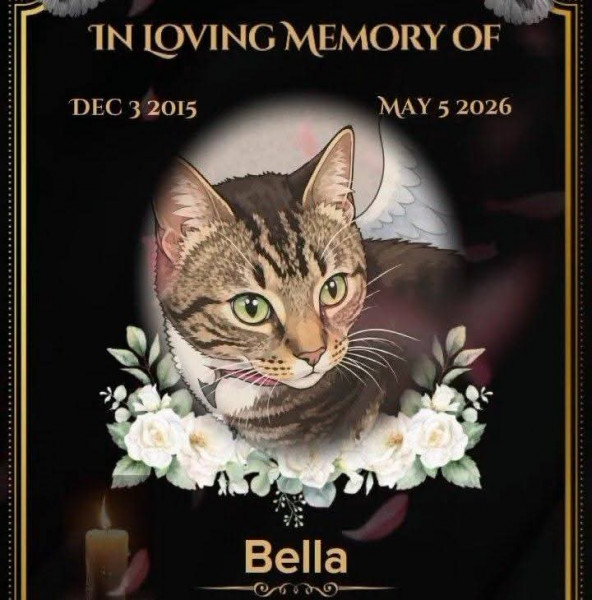 Bella