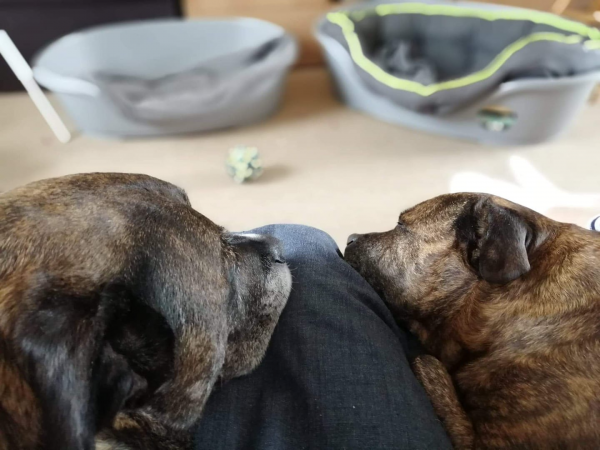 Tucker & Mabel