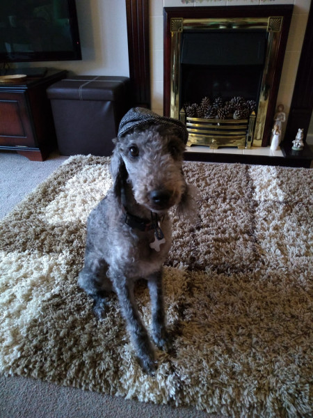 Finn