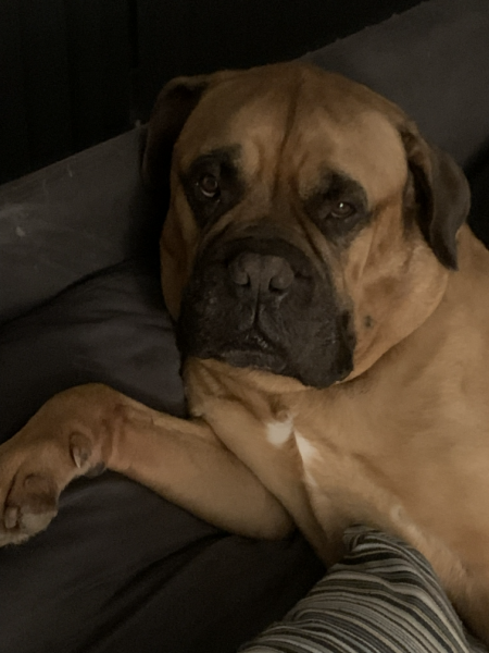 Frank