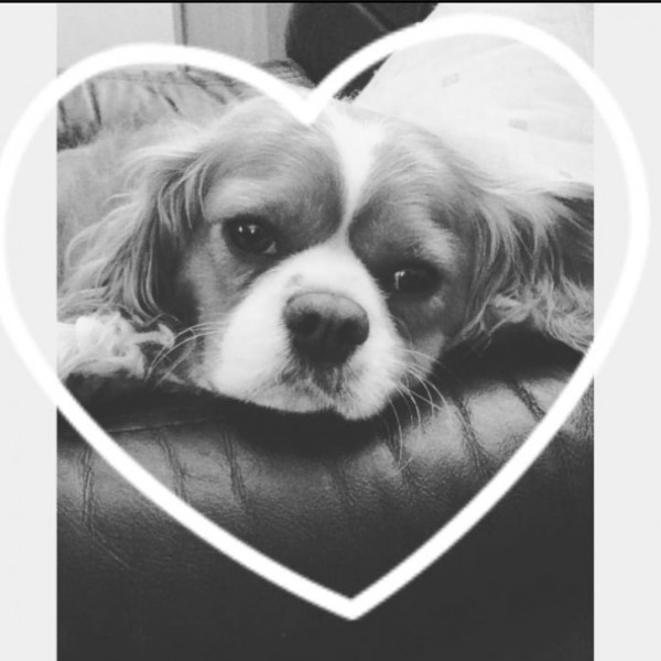 Benji