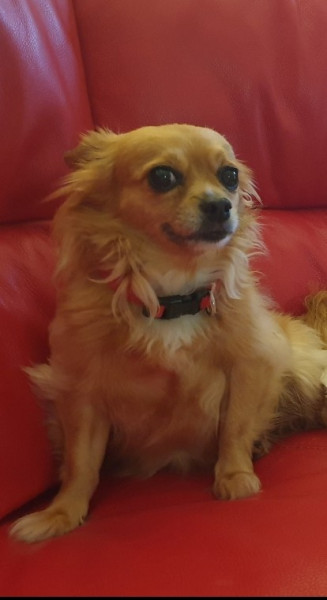 Daisy Mae