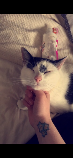 Chico