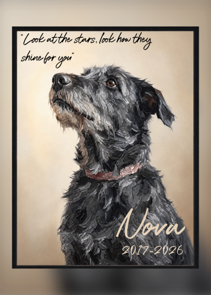 Nova
