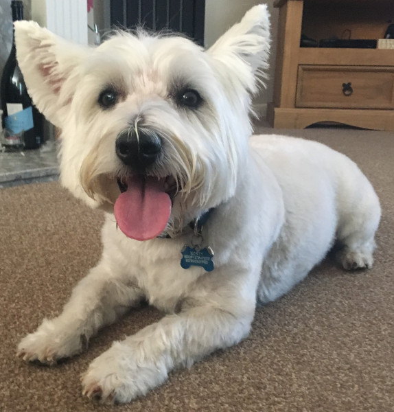 Monty