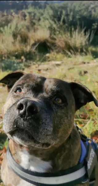 Buster