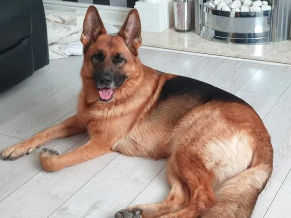 Kiara