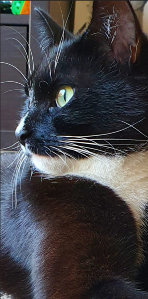 Freya (Miss Foo Foo)