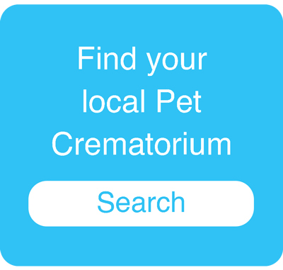 pdsa cremation cambridge